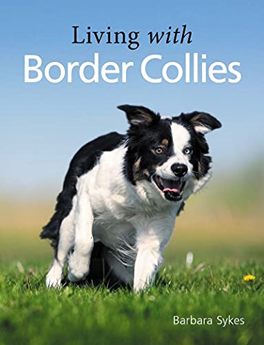Book cover featuring a black and white Border Collie in a field.
