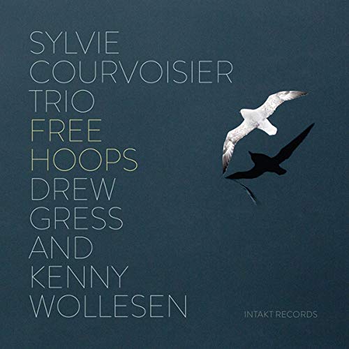"CD cover with two seagulls on a blue background, artist and title text."
