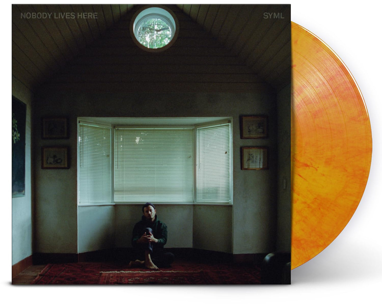 Vinyl record cover: a man sits in a room looking out a window.
