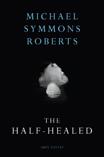 Book cover: “The Half Healed” by Michael Symmons Roberts, with abstract white form.