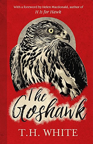 Book cover featuring a detailed illustration of a goshawk’s head and chest.