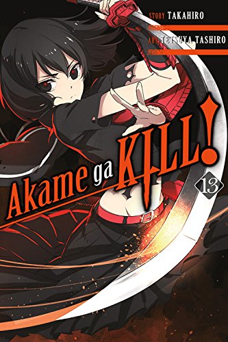 Akame ga Kill! Vol. 13 manga cover featuring a female character with a sword.