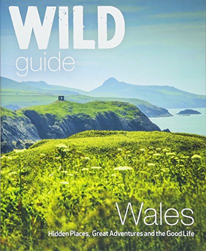 Book cover showing a grassy coastal landscape with mountains and sea in the background.