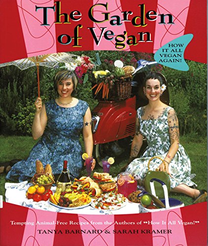 Book cover featuring two women, a picnic, and a red bicycle in a garden.