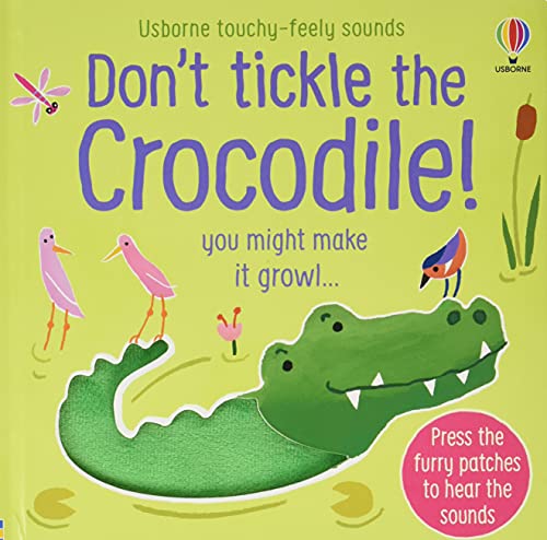 Cover of the book Don't Tickle the Crocodile featuring a green crocodile and birds.
