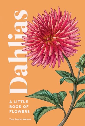 Book cover with a watercolor painting of a pink dahlia flower.