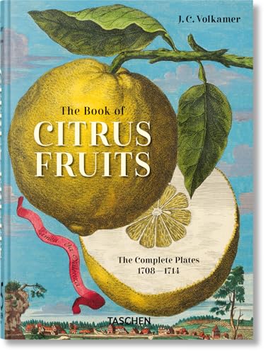 Book cover featuring a large yellow citrus fruit and a cross-section against blue sky.