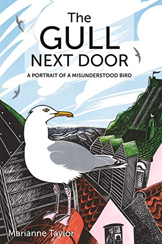 Book cover: a white gull perched above a stylized coastal town.