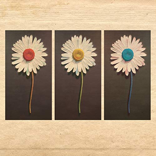 Three daisies with red, yellow, and blue centers on dark panels against beige paper.
