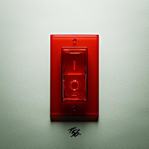 Red light switch plate on a pale green wall, with logo below.