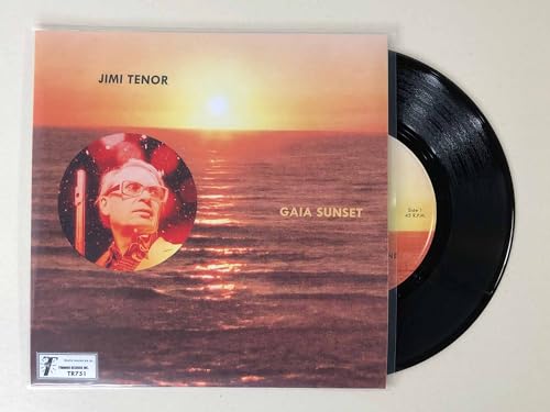 Vinyl record cover showing a sunset over water with an inset portrait of Jimi Tenor.