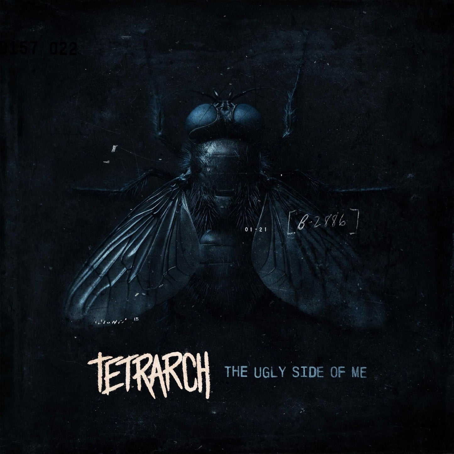 Dark album cover featuring a close-up of a fly with the text Tetrarch.