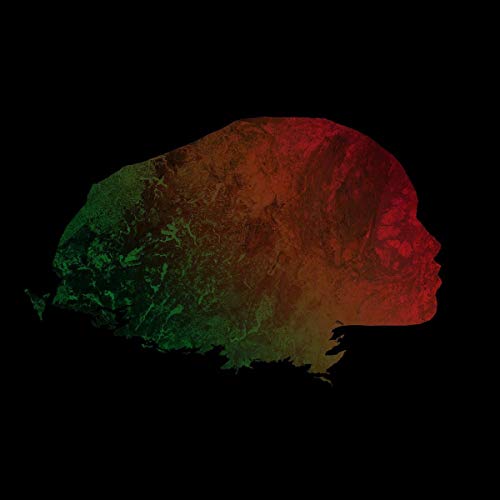 The alt text for the image is: "A head silhouette in profile, with a rocky texture and red and green gradient."