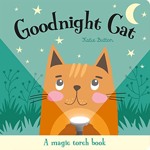 Orange cat holding a flashlight under its chin, starry night background.