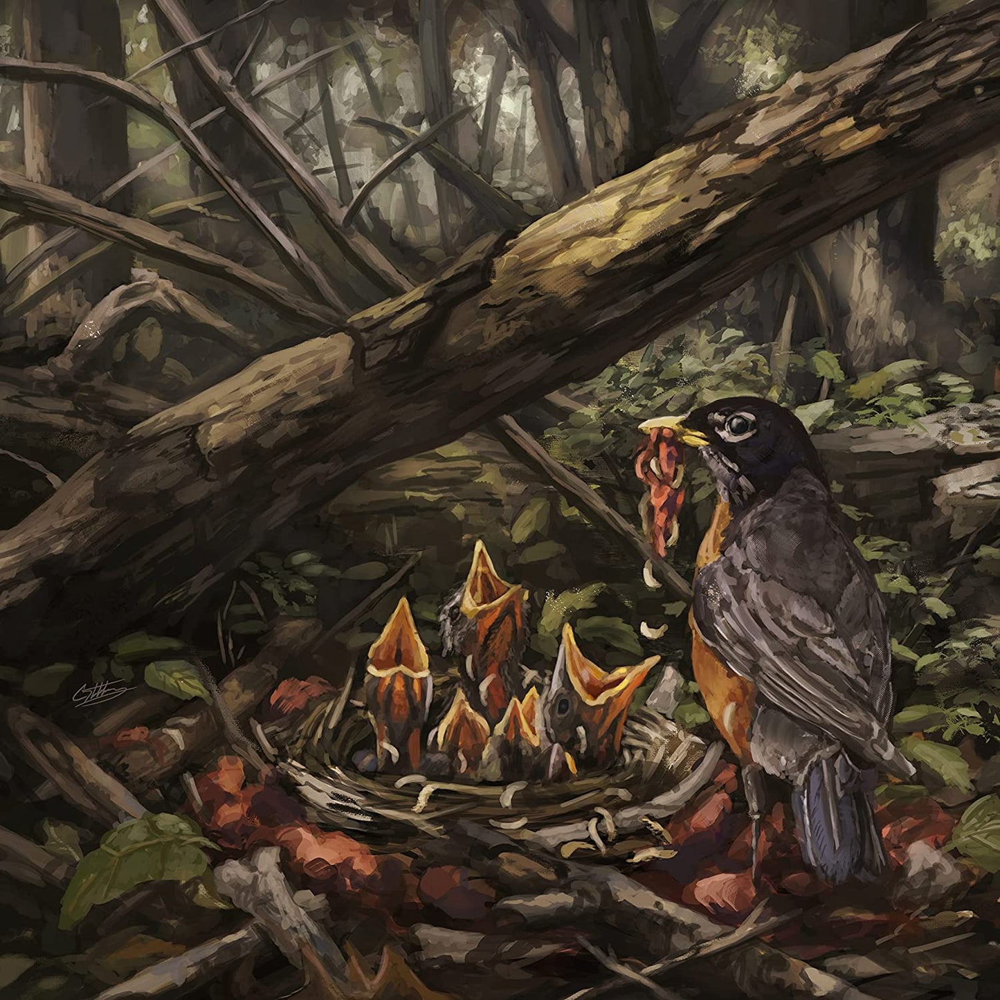 "Album cover art: a bird feeds its chicks in a forest nest."