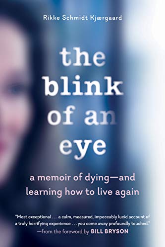 Book cover: “The Blink of an Eye” with a blurred portrait and blue tones.