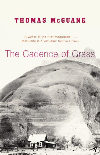 Book cover: a small cabin beneath a large, rocky mountain landscape.