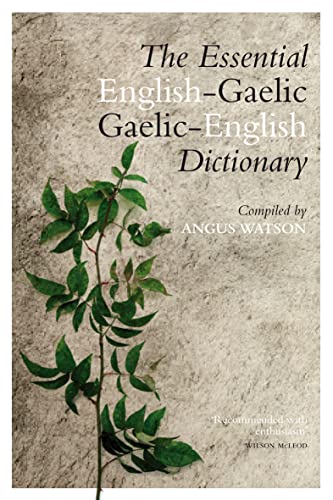 Dictionary cover with Gaelic and English titles, botanical illustration.