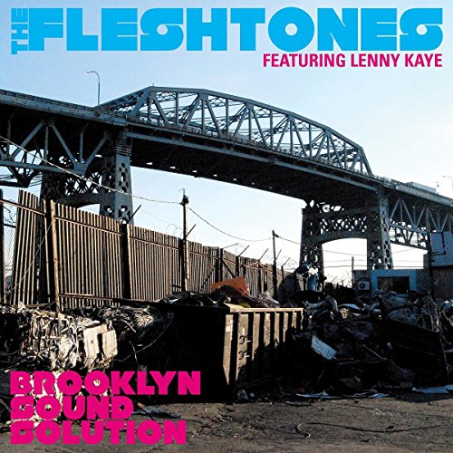 CD cover for The Fleshtones’ “Brooklyn Sound Solution” featuring a bridge.