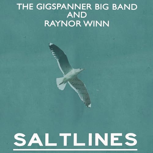 CD cover for "Saltlines" featuring a seagull in flight on teal.