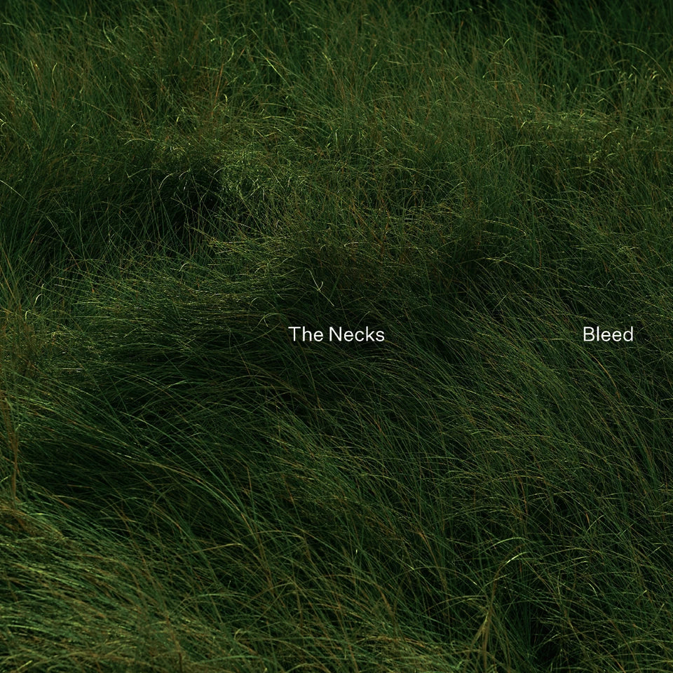 CD cover for “Bleed” by The Necks, featuring dark green grass.