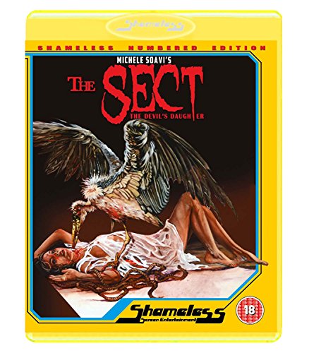 Blu-ray cover for horror film "The Sect" featuring a woman and a bird.