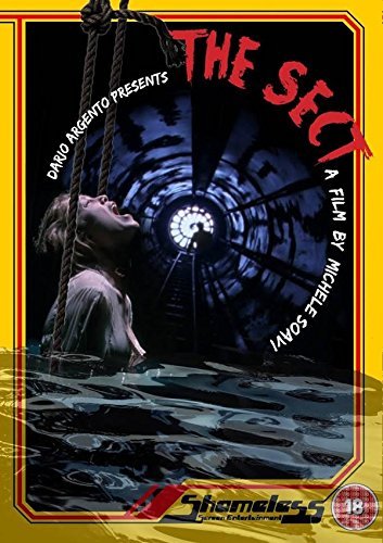 DVD cover art for The Sect featuring a large bird looming over a woman.