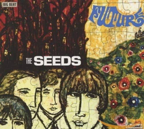 CD cover for The Seeds’ “Future” album, featuring a puzzle design.