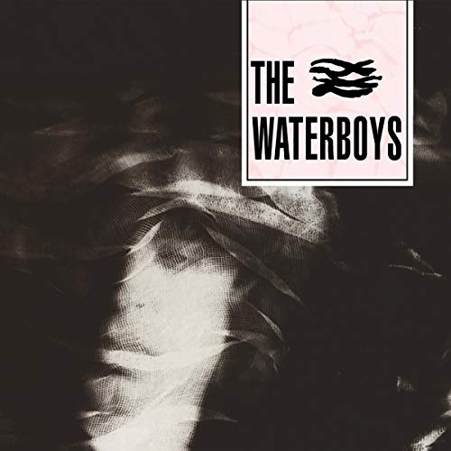 "The Waterboys" album cover with black and white abstract design and band name.