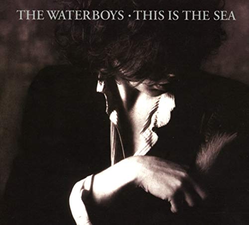 Album cover for The Waterboys’ “This Is The Sea”, shadowy portrait.