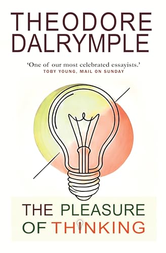 Book cover with title, author, and illustration of a lightbulb.
