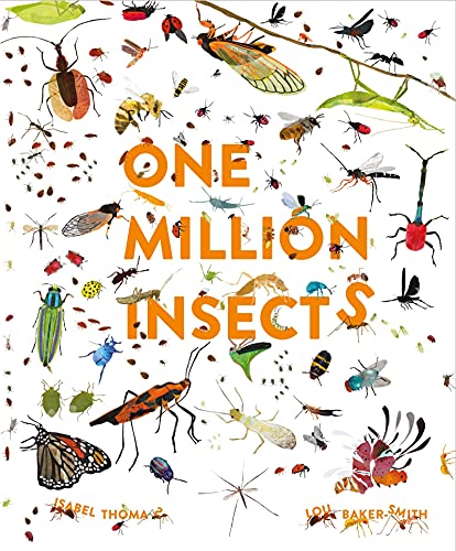 Book cover with colorful illustrations of many different insects.
