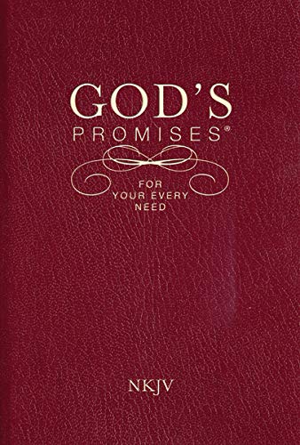 Red leather-textured book cover with gold text: "God's Promises.