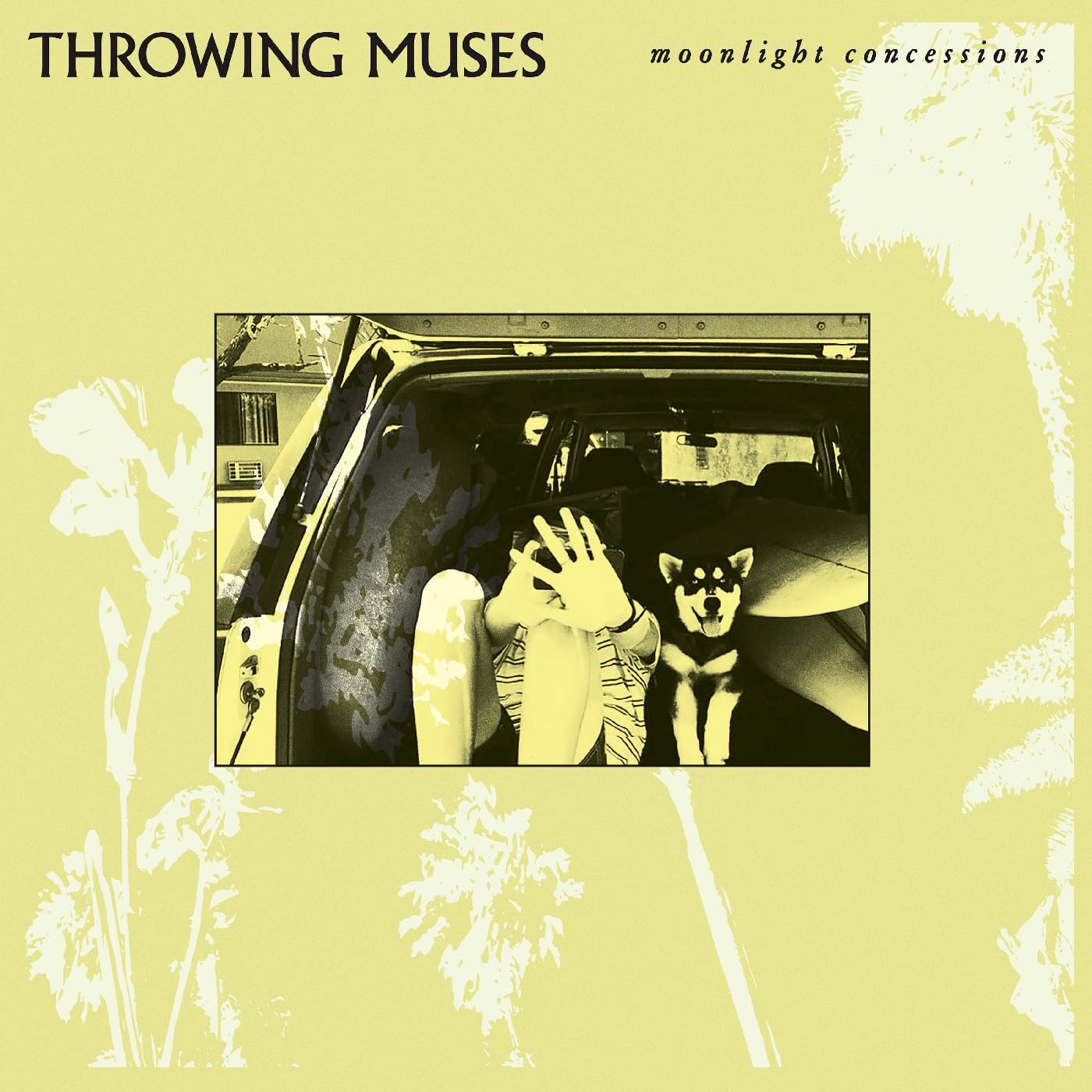 Throwing Muses album cover: a yellow background with a car and dogs.