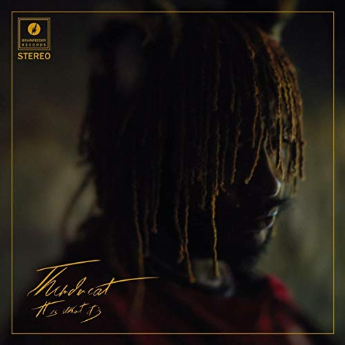 Thundercat album cover: portrait of a person with long dreadlocks.