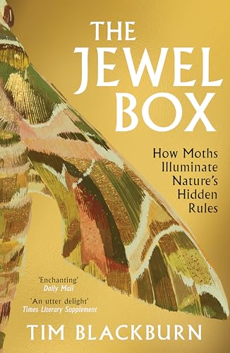 Book cover of The Jewel Box by Tim Blackburn featuring a patterned moth wing.