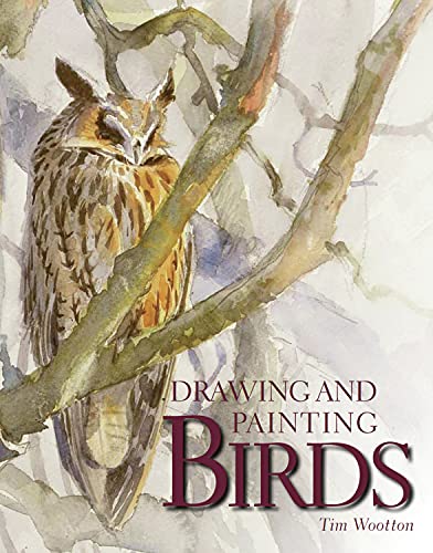 Watercolor painting of an owl perched on a branch, book cover.