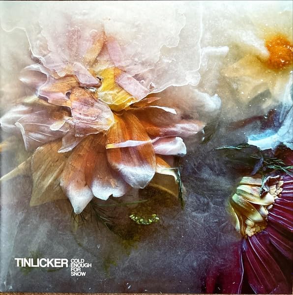 Orange and purple flowers frozen inside a block of ice with text in corner.