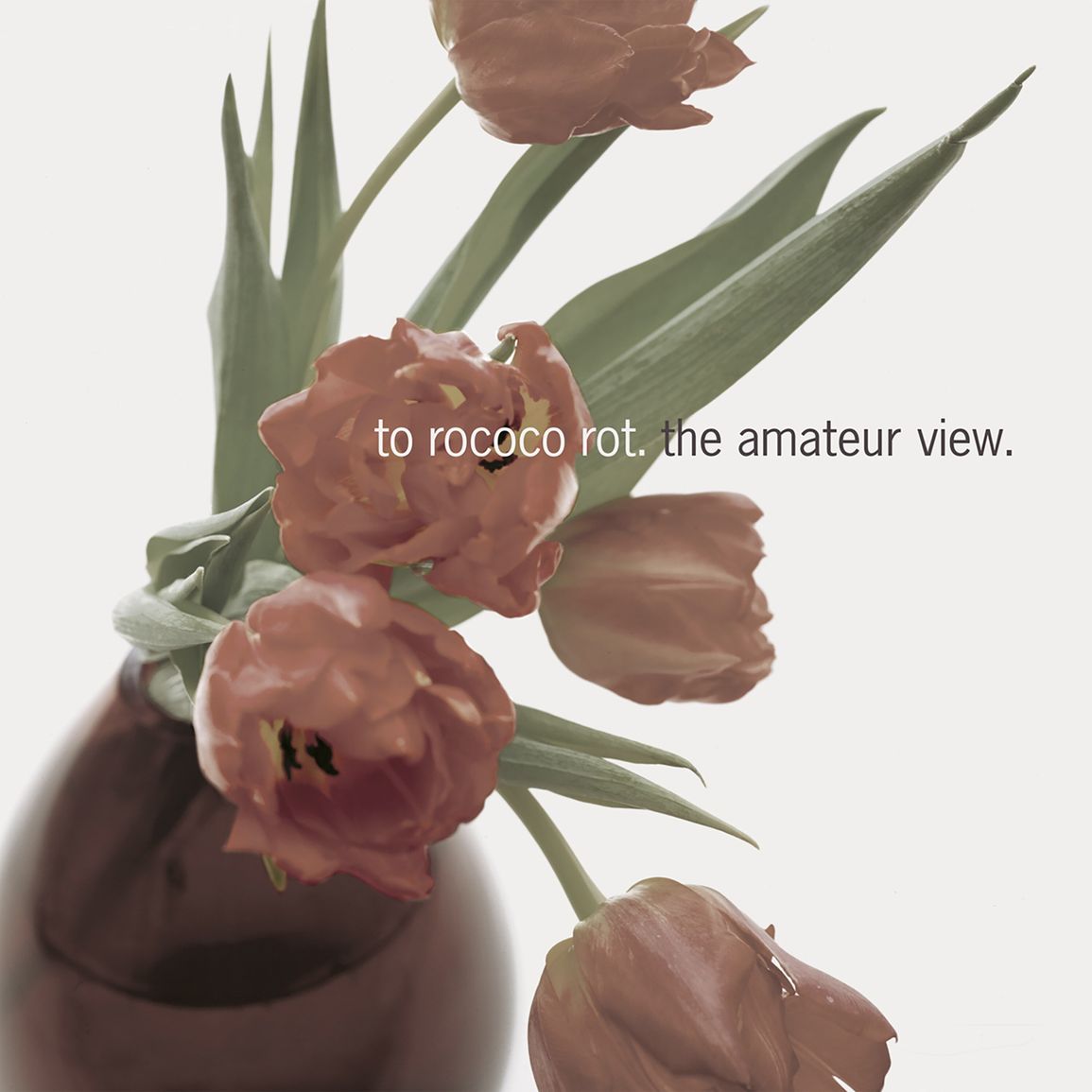Close-up of pink and orange tulips in a dark vase.