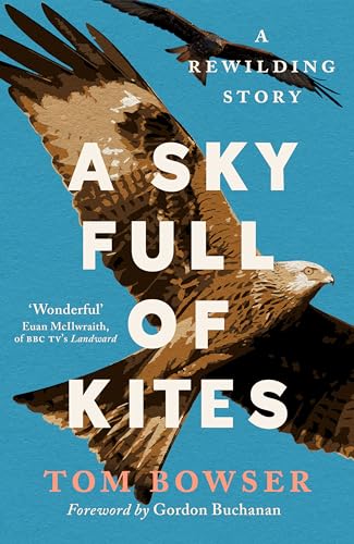 Book cover featuring two red kites flying against a bright blue sky.