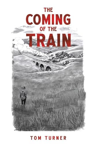 Book cover: a boy watches a steam train cross a stone bridge.