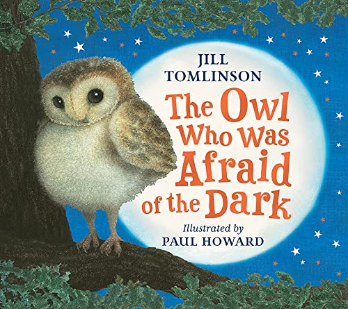 Cover of “The Owl Who Was Afraid of the Dark” featuring a young owl.