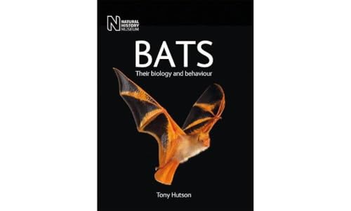 Book cover featuring a bat in flight with the title "Bats.