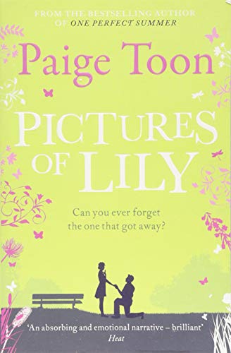 Book cover: "Pictures of Lily" with silhouettes of a couple and butterflies.