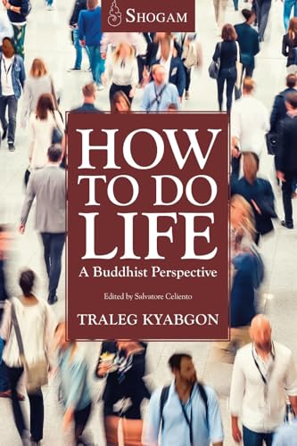 How To Do Life : A Buddhist Perspective