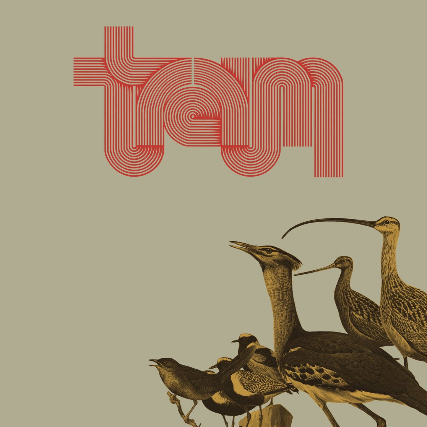 CD cover with red text "Traum" and illustrations of several birds.