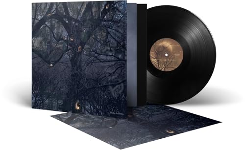 Vinyl record and gatefold sleeve with dark forest imagery.