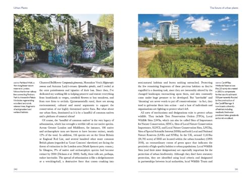 Two book pages showing a graffiti-covered urban structure and a pond near a building.