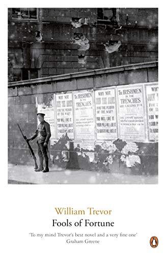 Book cover: soldier with rifle, posters, and snowy, distressed background.