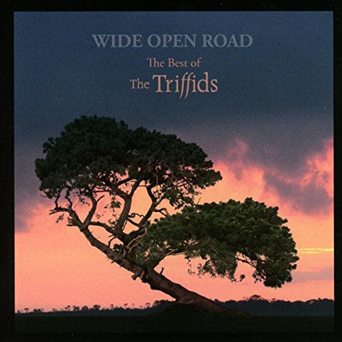 CD cover for The Triffids’ “Wide Open Road” with a tree silhouette.